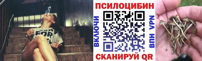 Галлюциногенные грибы Cubensis  Шахунья 