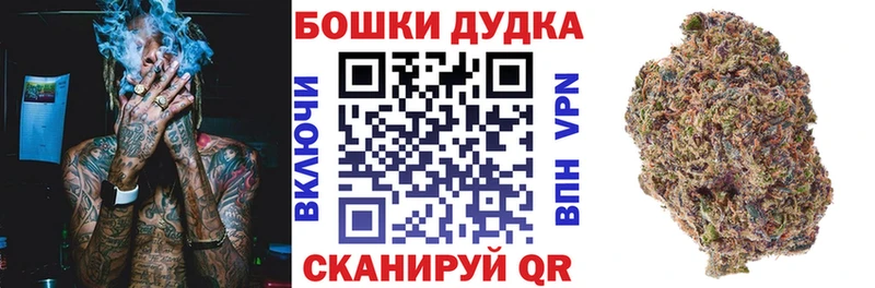 Марихуана индика  гидра как зайти  Шахунья 